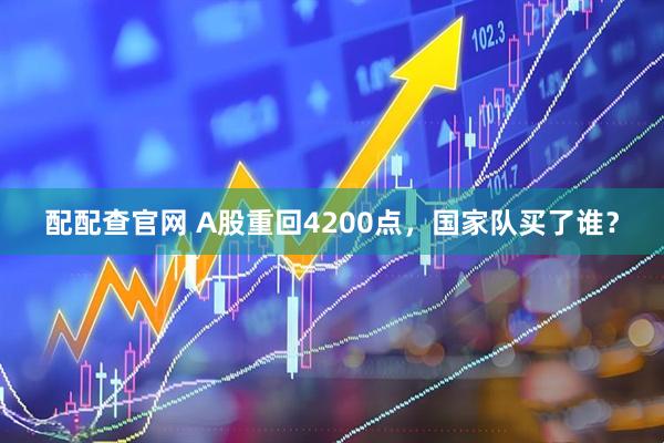 配配查官网 A股重回4200点，国家队买了谁？